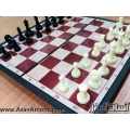 شطرنج مغناطیسی